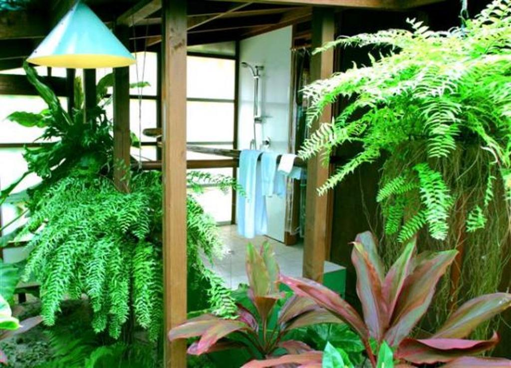 Rarotonga Beach Bungalows Habitación foto